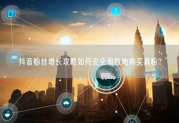 抖音粉丝增长攻略如何安全有效地购买真粉？