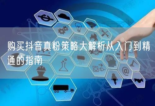 购买抖音真粉策略大解析从入门到精通的指南