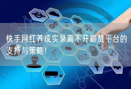快手网红养成实录离不开刷赞平台的支持与策略！