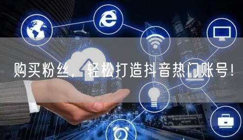 购买粉丝，轻松打造抖音热门账号！
